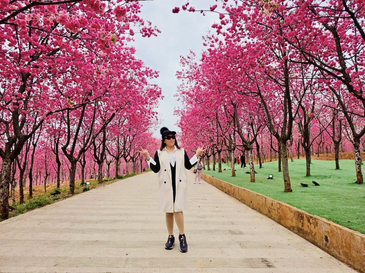 อุโมงค์ดอกไม้สีชมพู